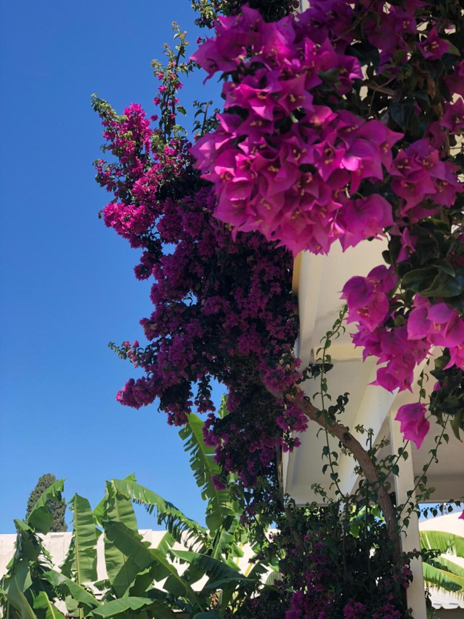 Hotel Jon Dhermi Exterior photo